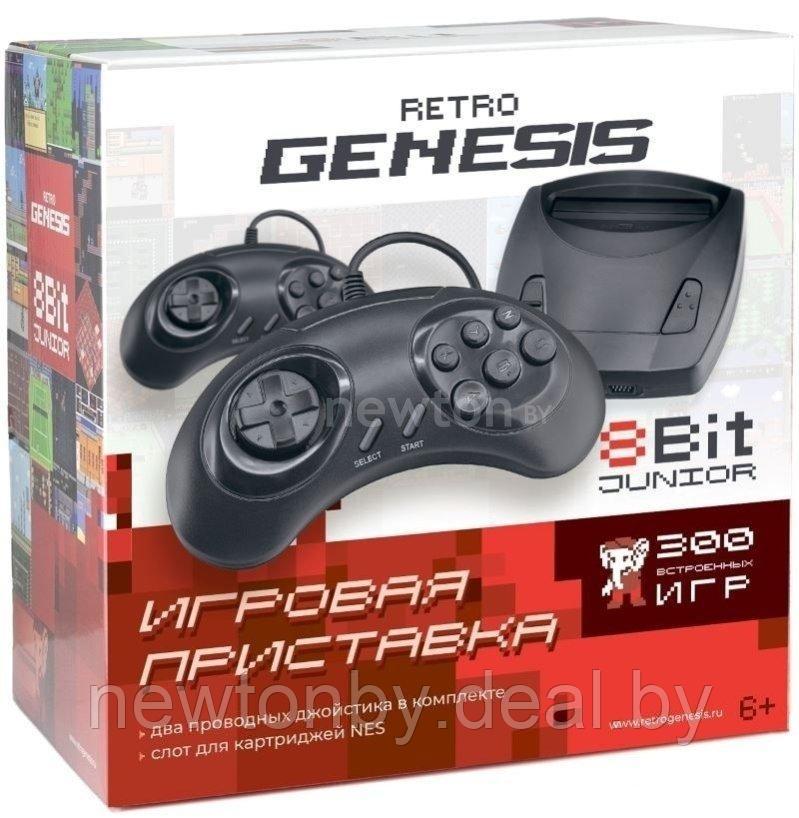 Игровая приставка Retro Genesis 8 Bit Junior (300 игр) - фото 1 - id-p220190254
