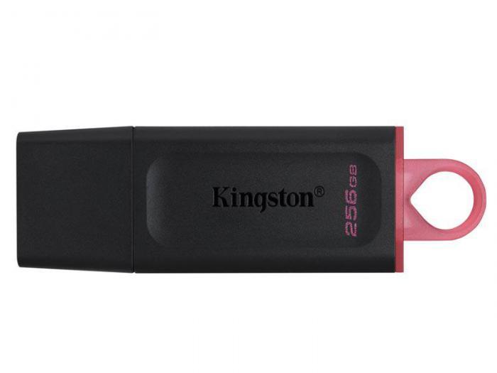 256Gb - Kingston DataTraveler Exodia USB 3.2 Gen 1 DTX/256GB - фото 1 - id-p219497903