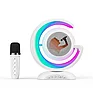 Портативная музыкальная колонка с двумя микрофонами Wireless Lightsho YS-110, фото 6