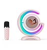 Портативная музыкальная колонка с двумя микрофонами Wireless Lightsho YS-110, фото 8