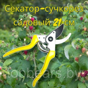 Секатор - сучкорез садовый с пружинным механизмом My Garden 21 см. / Стальные лезвия, прорезиненная рукоятка - фото 1 - id-p220211306