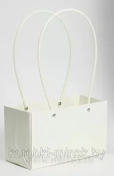 Пакет подарочный "Мастхэв" прямоугольный, 22х10х13 см бледно-желтый