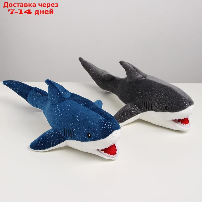Мягкая игрушка "Акула", 36 см, цвета МИКС - фото 3 - id-p220211426