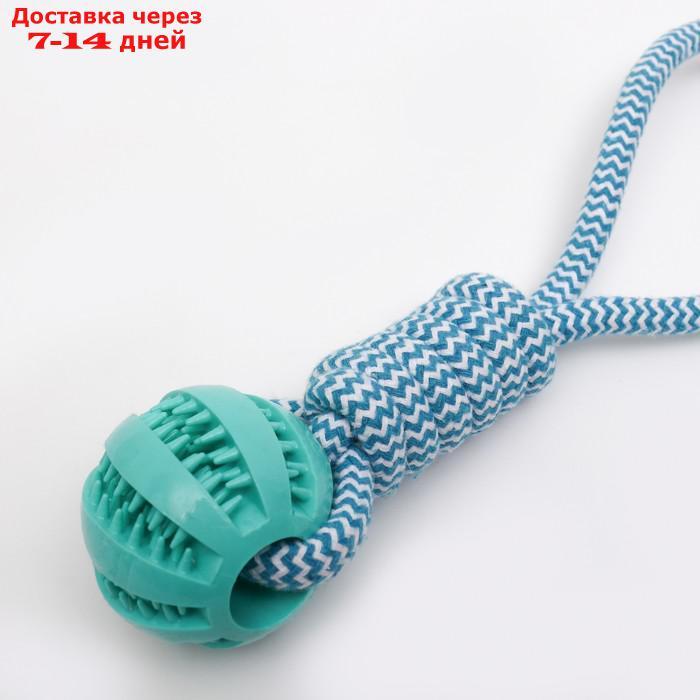 Игрушка канатная плетеная с мячом, до 30 см, до 120 г, голубая - фото 3 - id-p220213227
