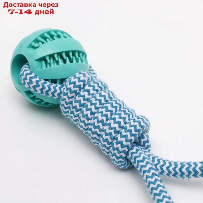 Игрушка канатная плетеная с мячом, до 30 см, до 120 г, голубая - фото 4 - id-p220213227