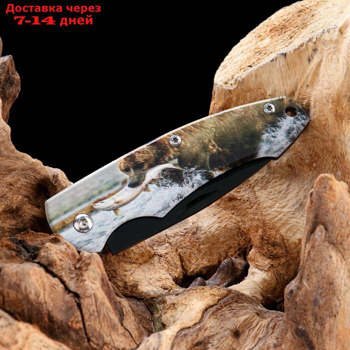 Нож перочинный "Медведь на охоте" в подарочной коробке - фото 5 - id-p220213417