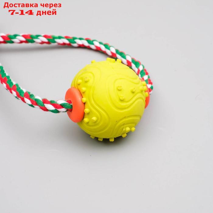 Игрушка канатная с жевательными элементами "Шар с 1 ручкой", до 36 см, микс цветов - фото 3 - id-p220212571