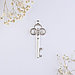 Сувенир ключ-открывалка "Подарок гостям", цвет серебро, 6,5 х 0,3 х 2,7 см, фото 4