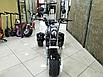Электротрицикл CityCoCo Trike PRO 12, фото 7
