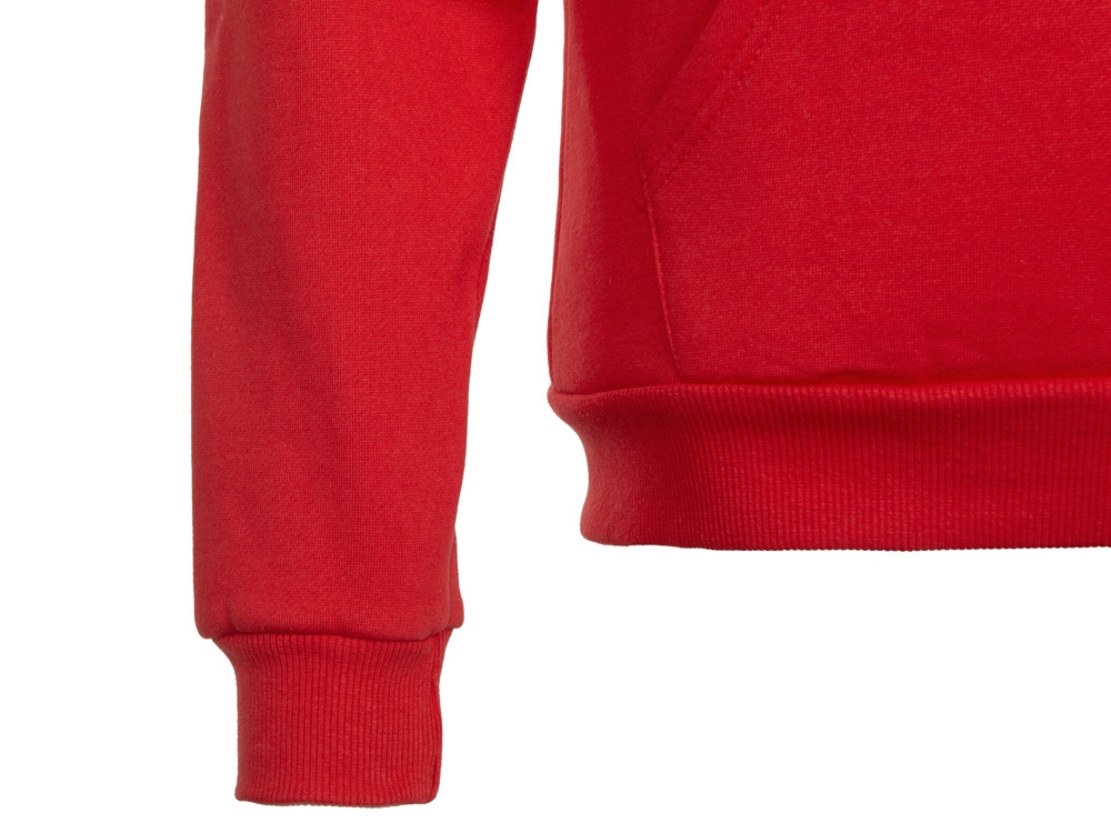 Толстовка с капюшоном Amsterdam мужская, красный - фото 10 - id-p220247869