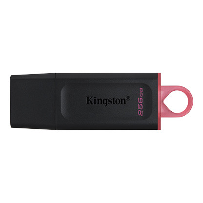 USB Flash накопитель 3.2 256GB Kingston Exodia DTX/256GB