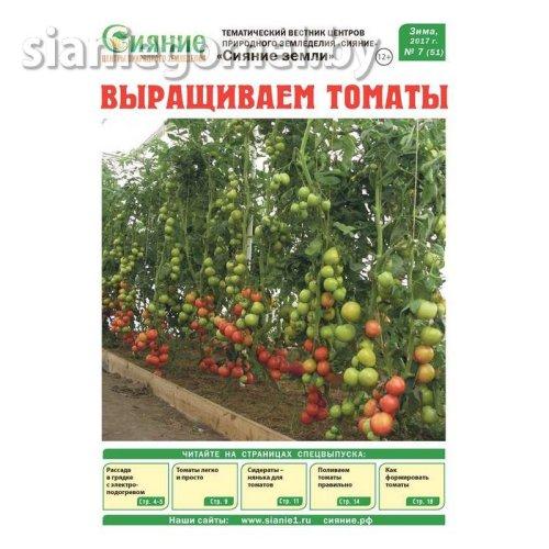 Газета "Как вырастить томаты", 24 страницы - фото 1 - id-p204436609
