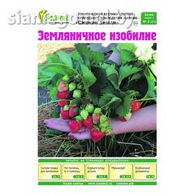 Газета "Как выращивать клубнику", 16 страниц
