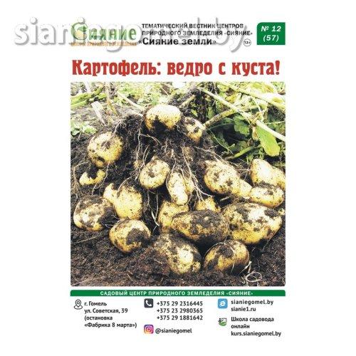 Газета "Как выращивать картофель", 24 страницы - фото 1 - id-p204436614