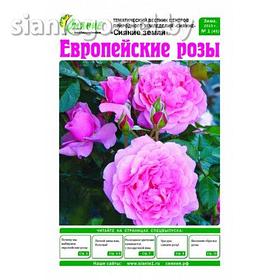 Газета "Розы на садовом участке", 16 страниц