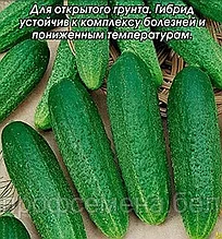 Огурец Бочковой F1, семена, 10 шт., (аэ)