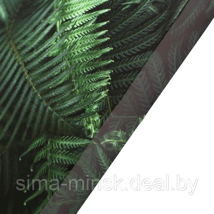 Картина на холсте "Листья папоротника" 60х100 см - фото 2 - id-p220286058