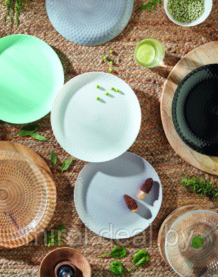 Набор столовой посуды Luminarc Pampille Q6153 - фото 3 - id-p220287388