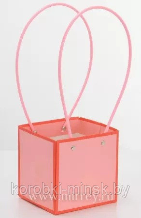 Пакет подарочный "Мастхэв с цветной окантовкой", 12,5х11,5х12,5 см, , спелый персик