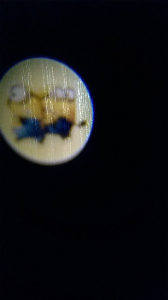 Часы детские наручные с проектором "Миньоны" электронные арт 9524Е - фото 5 - id-p31635339
