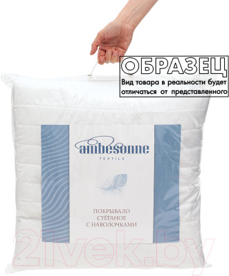 Набор текстиля для спальни Ambesonne Следуй за мечтой 160x220 / bcsl_26715 - фото 2 - id-p220401022