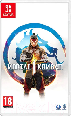 Игра для игровой консоли Nintendo Switch Mortal Kombat 1 - фото 1 - id-p220068516