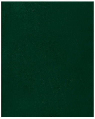 Тетрадь общая А5, 96 л. на скобе BG 160*202 мм, клетка, зеленая - фото 2 - id-p220465200