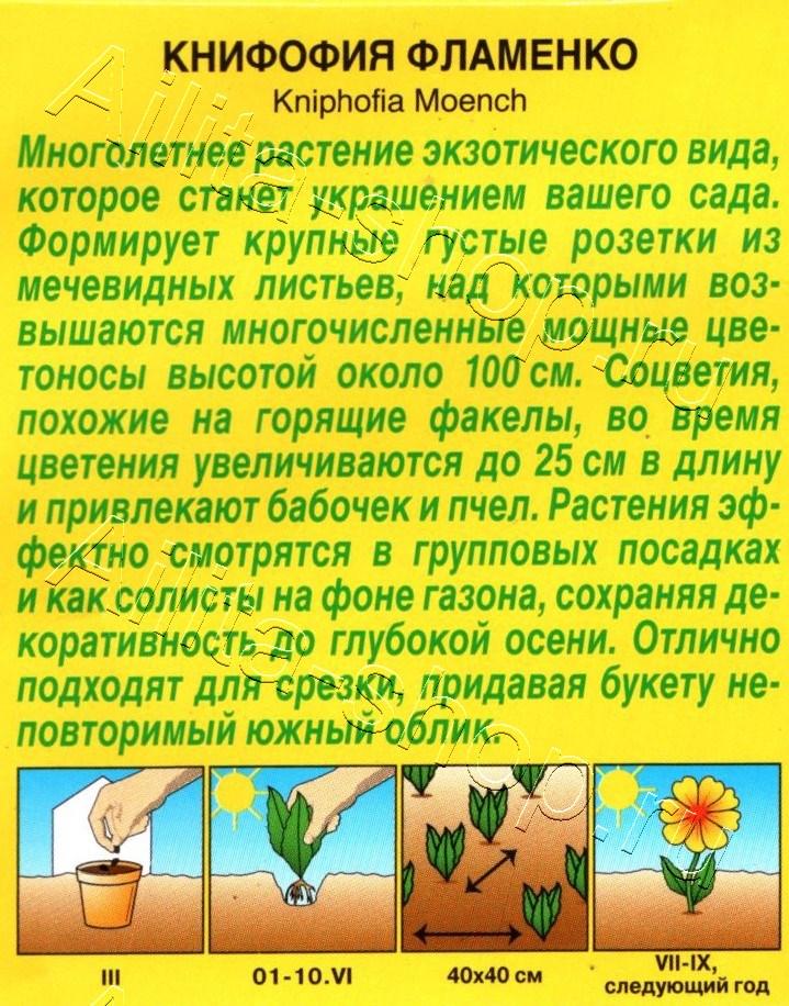 Книфофия Фламенко 0,1г Аэлита - фото 2 - id-p171722377