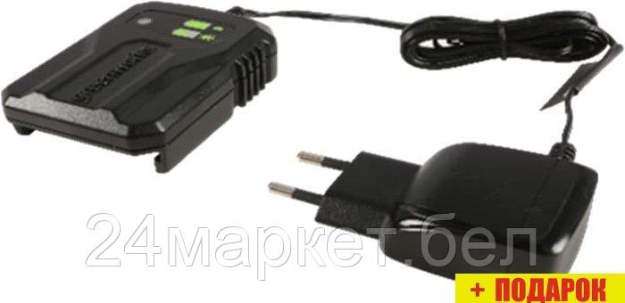 Зарядное устройство Greenworks G40UCM2M (40В) - фото 1 - id-p220267340