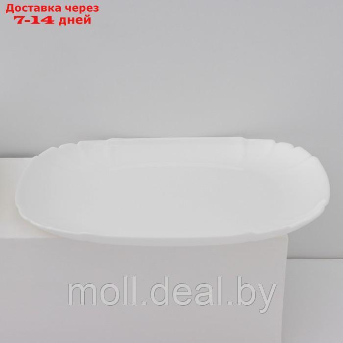 Набор подстановочных тарелок Luminarc Lotusia, d=25,5 см, стеклокерамика, 6 шт, цвет белый - фото 2 - id-p218425290