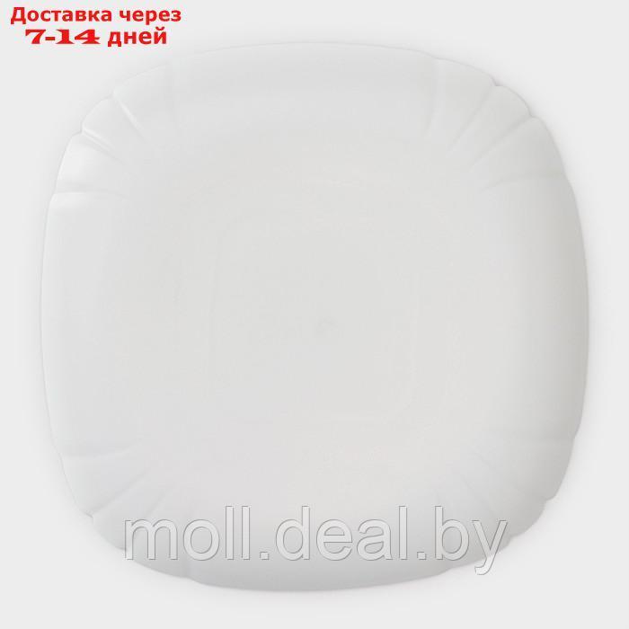 Набор подстановочных тарелок Luminarc Lotusia, d=25,5 см, стеклокерамика, 6 шт, цвет белый - фото 5 - id-p218425290