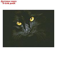 Набор алмазной вышивки "Черная кошка"