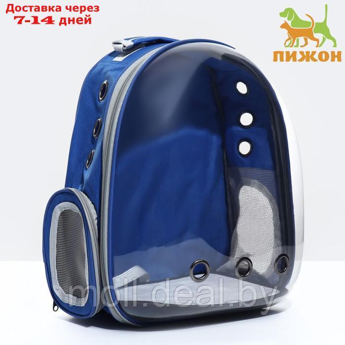 Рюкзак для переноски животных прозрачный, 31 х 28 х 42 см, синий - фото 1 - id-p218425807