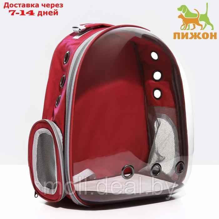 Рюкзак для переноски животных прозрачный, 31 х 28 х 42 см, красный - фото 1 - id-p218425813