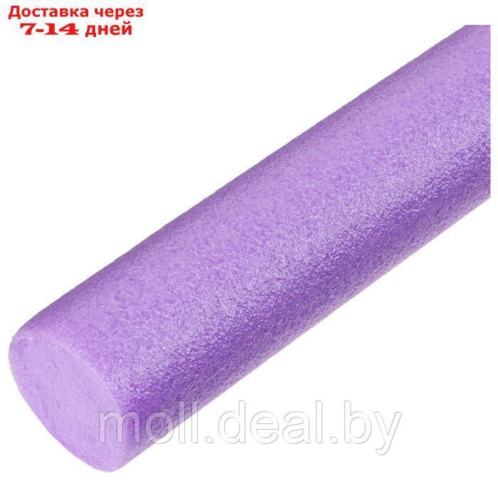 Аквапалка для аквааэробики, d=6,5 см, длина 150 см, цвет фиолетовый - фото 2 - id-p220460981