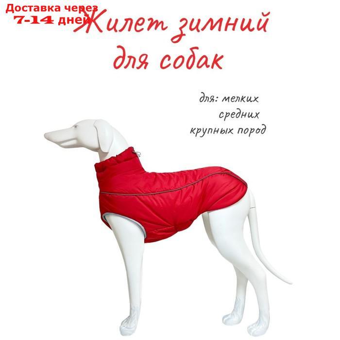 Жилет Osso "Аляска" для собак, размер 65-1 (ДС 60-65, ОШ 72, ОГ 82-94), красный - фото 1 - id-p220464174