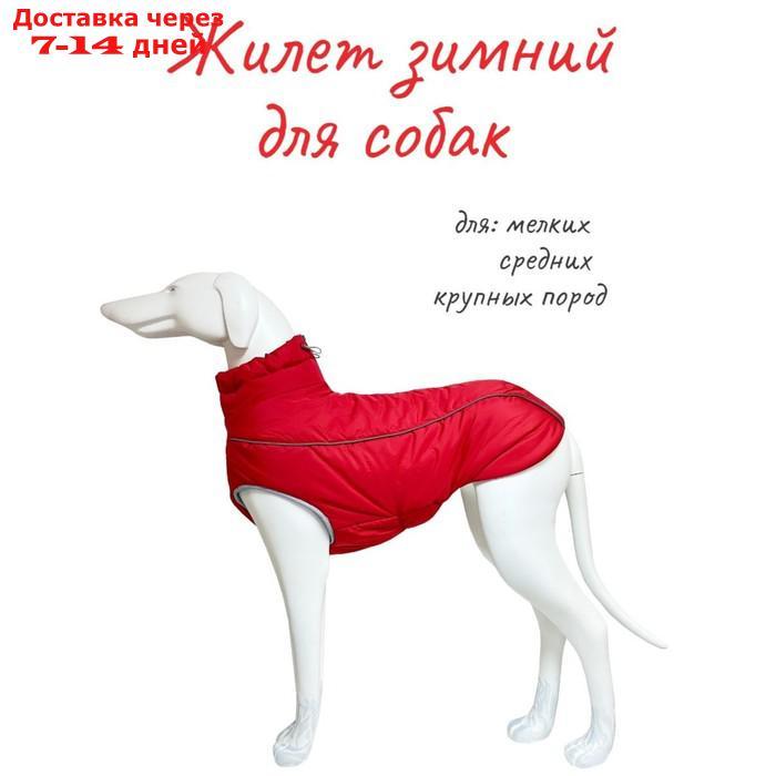 Жилет Osso "Аляска" для собак, размер 45-1 (ДС 40-45, ОШ 50, ОГ 58-68), красный - фото 1 - id-p220464183