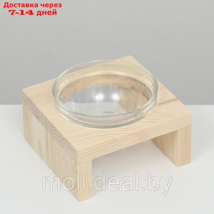 Подставка одинарная с миской из прозрачного стекла 16 х 14,5 х 6,5 см 250 мл - фото 1 - id-p220457871