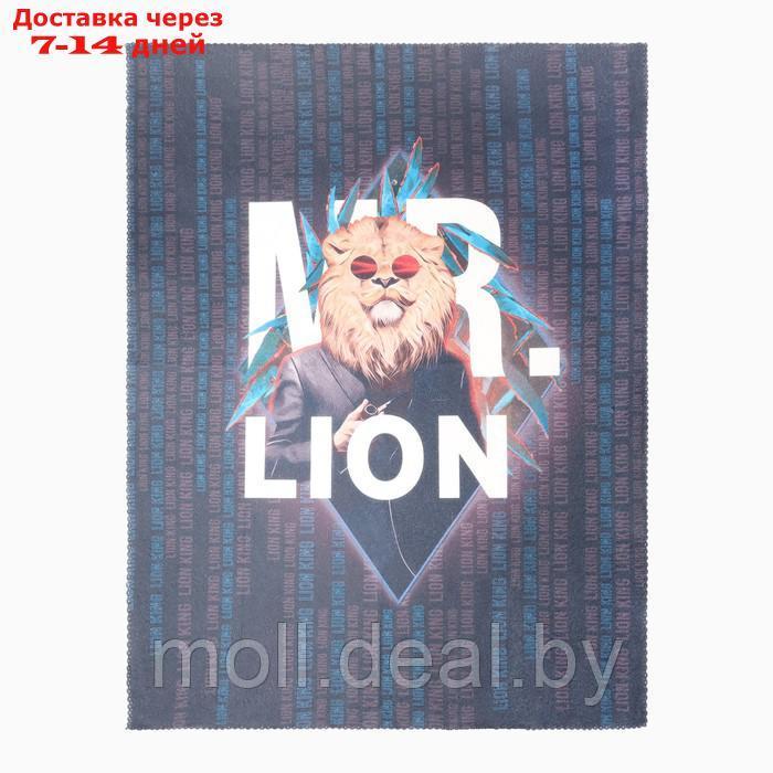 Набор подарочный "Mr.Lion" плед, носки, перчатки - фото 3 - id-p220461080