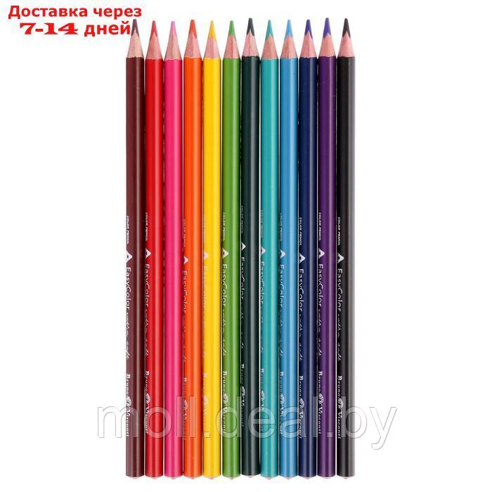 Карандаши 12 цветов Easycolor в металлической коробке с ложементом - фото 3 - id-p220461215