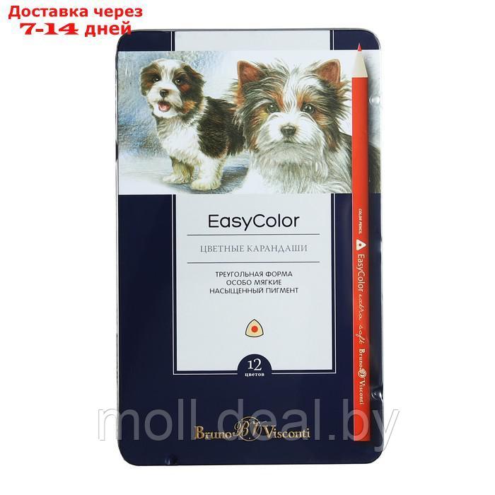 Карандаши 12 цветов Easycolor в металлической коробке с ложементом - фото 7 - id-p220461215
