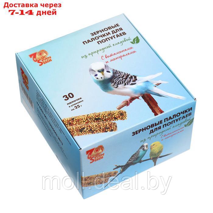 Набор палочки "SHOW BOX" для попугаев витаминами и минералами, коробка 30 шт, 720г - фото 3 - id-p220461339