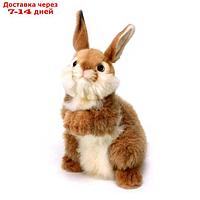 Мягкая игрушка "Кролик", 30 см
