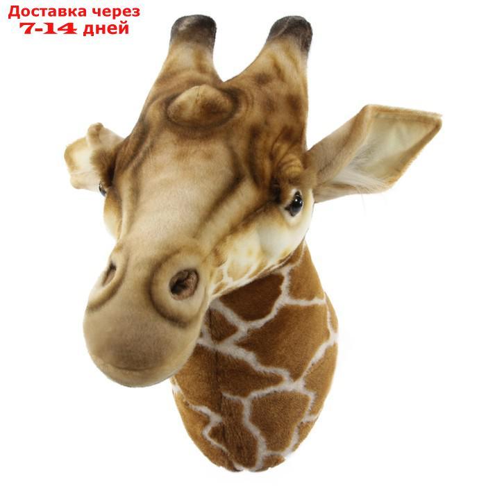 Декоративная игрушка "Голова жирафа", 35 см - фото 3 - id-p220464691