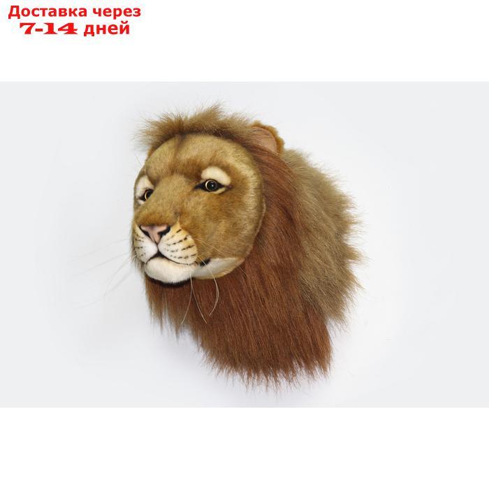 Декоративная игрушка "Голова льва", 39 см - фото 1 - id-p220464692