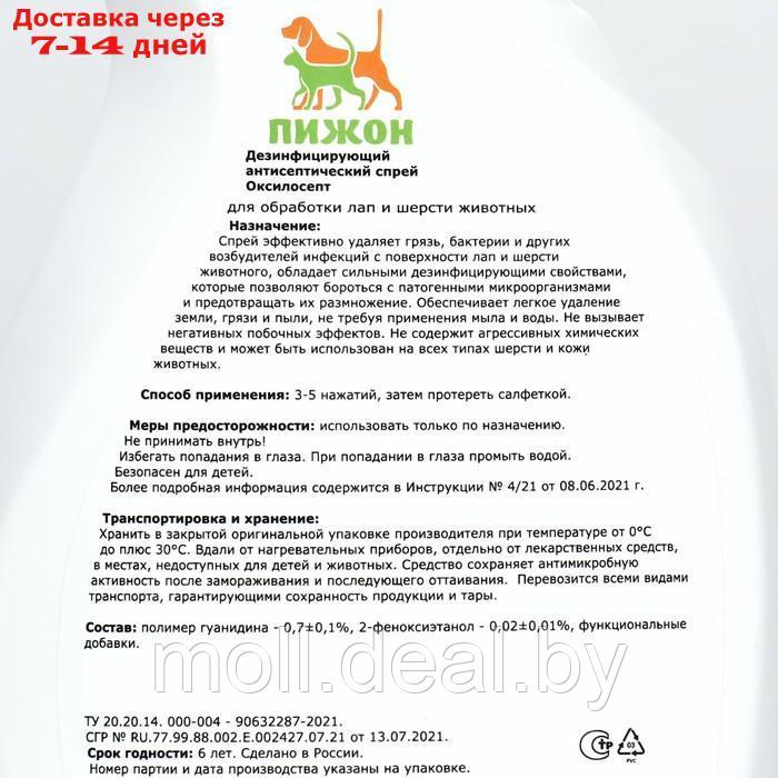 Дезинфицирующий антисептический спрей "Пижон" для обработки лап,шерсти, лаванда, 750 мл - фото 3 - id-p220459582