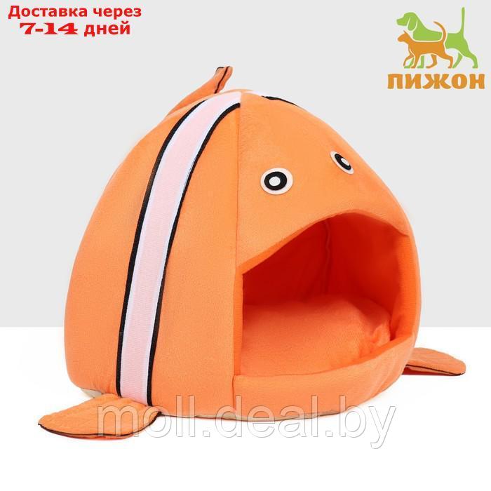 Домик для животных "Рыбка-клоун", 31 х 30 х 28 см, оранжевый