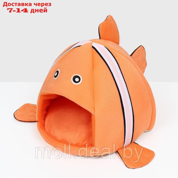 Домик для животных "Рыбка-клоун", 31 х 30 х 28 см, оранжевый - фото 4 - id-p220459587