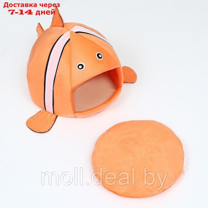 Домик для животных "Рыбка-клоун", 31 х 30 х 28 см, оранжевый - фото 6 - id-p220459587