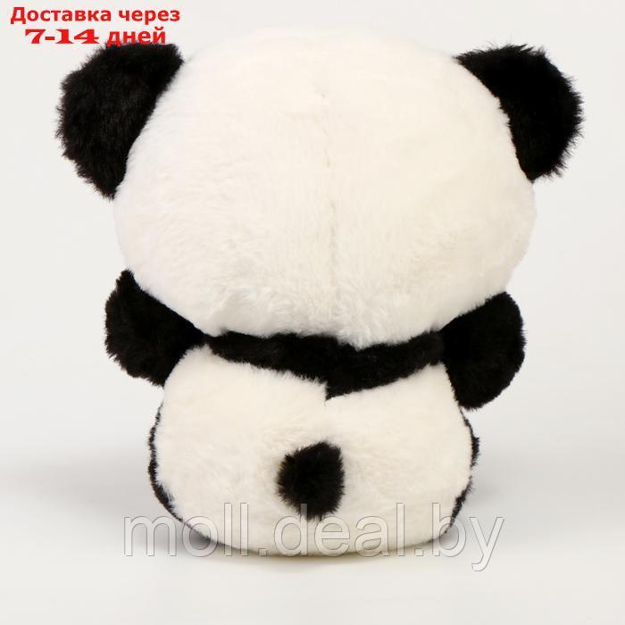Мягкая игрушка "Котик в костюме панды", 23 см - фото 3 - id-p220461560
